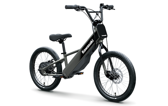 2027 Kawasaki ELEKTRODE 20FS