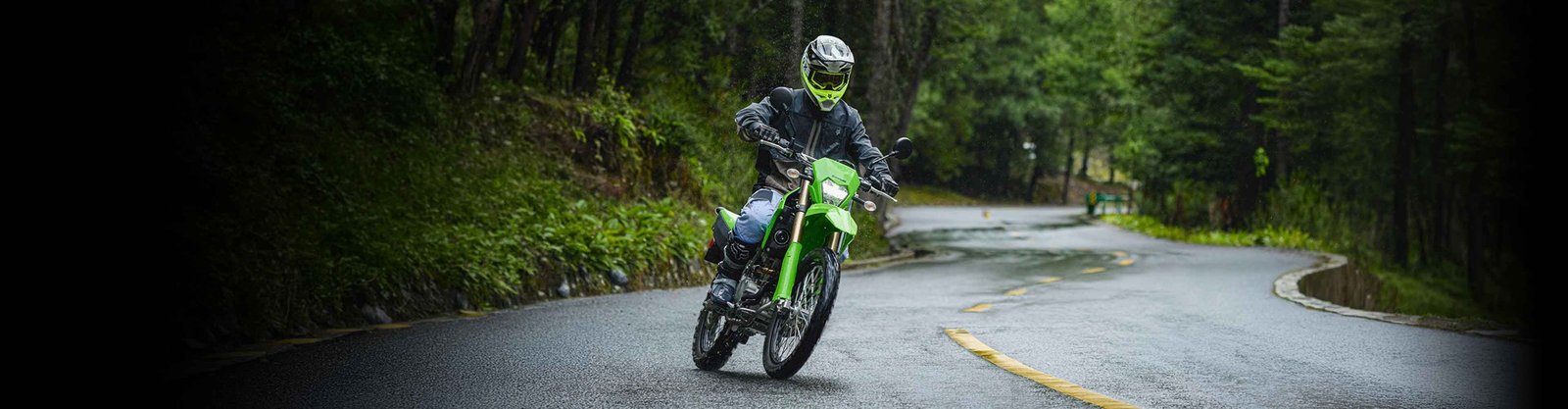 2027 Kawasaki KLX300