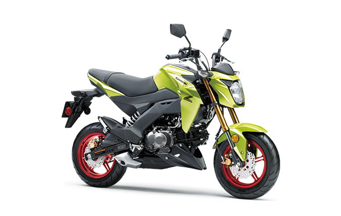 2026 Kawasaki Z125 PRO