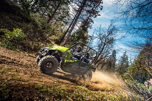 2025 Kawasaki Teryx4 Base - Neon — photo 4