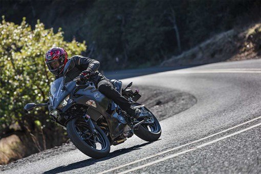 2026 Kawasaki NINJA 500 - Metalic Flat Spark — photo 3
