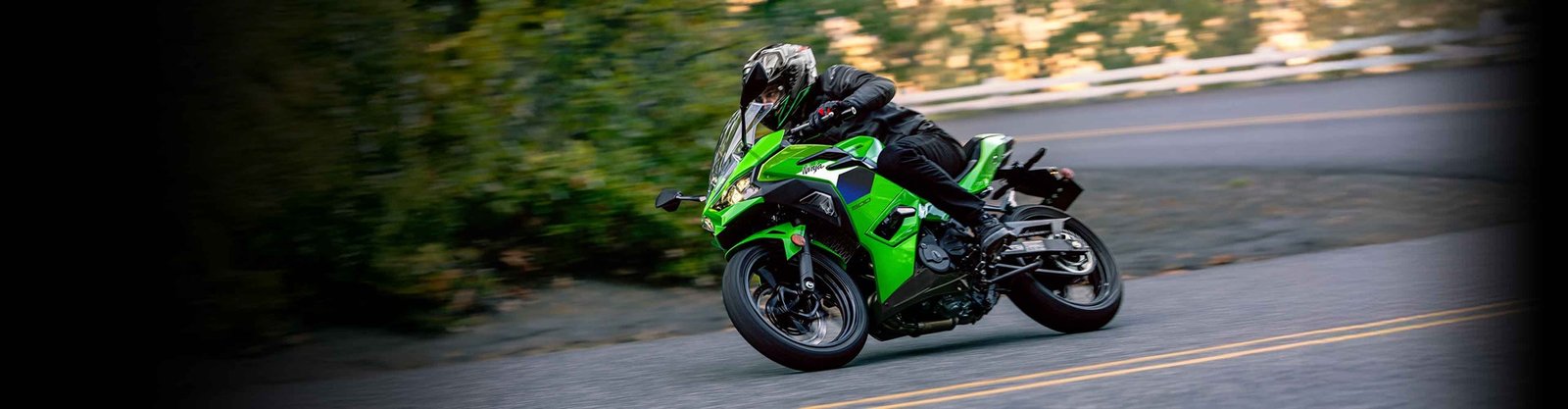 2026 Kawasaki NINJA 500 SE - Metalic — photo 3