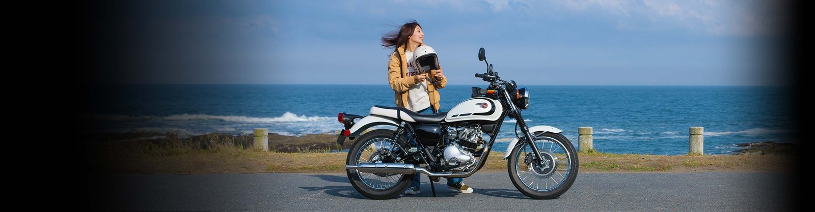 2025 Kawasaki W 230 ABS-Metallic Ocean — photo 3